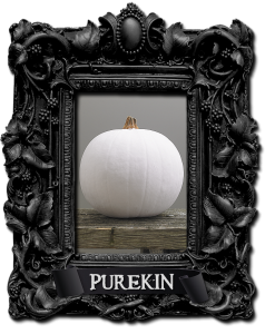 Get creative with Pumkins this Halloween - Purekin Pumpkin